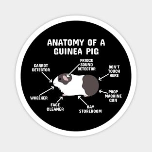 Anatomy of a Guinea Pig: Brown and White Magnet